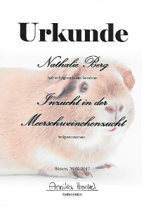 Zertifikat Nathalie Linien- und Inzucht
