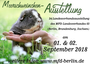 Flyer zur 24. Landesverbandsausstellungdes MFD LV 03