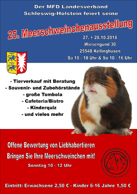 Flyer zur 25. Landesverbandsausstellungdes MFD LV 09