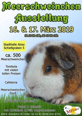 Flyer zur 25. Landesverbandsausstellungdes MFD LV 04