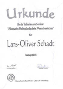 Zertifikat Lars-Oliver Alternative Heilmethoden